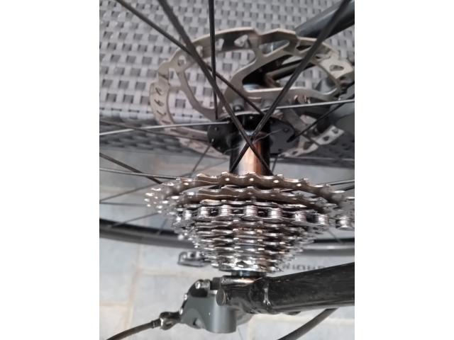 Photo Domane AL 4 2024 image 4/5