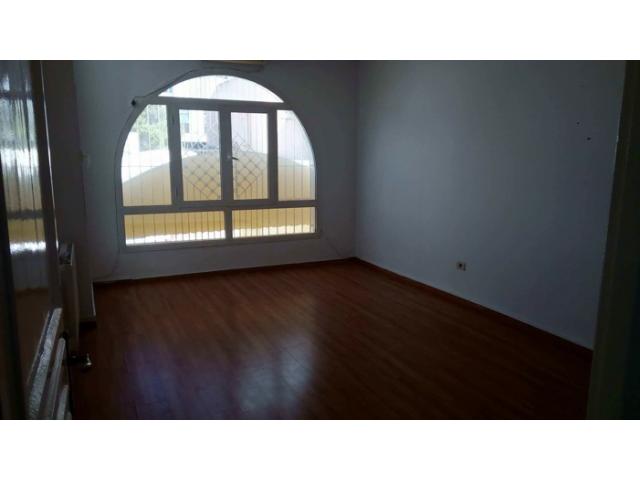 Photo Duplex Olfa ref AV852 Lac 1 image 4/6