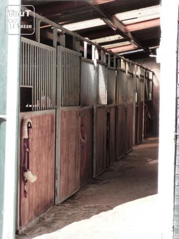 Photo Ecurie Horses Corner - Plus que 1 box cheval disponibles image 4/6