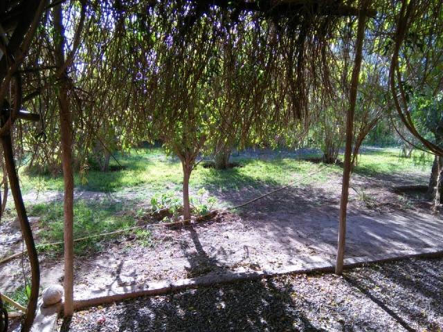 Photo Ferme a vendre region Marrakech image 4/6