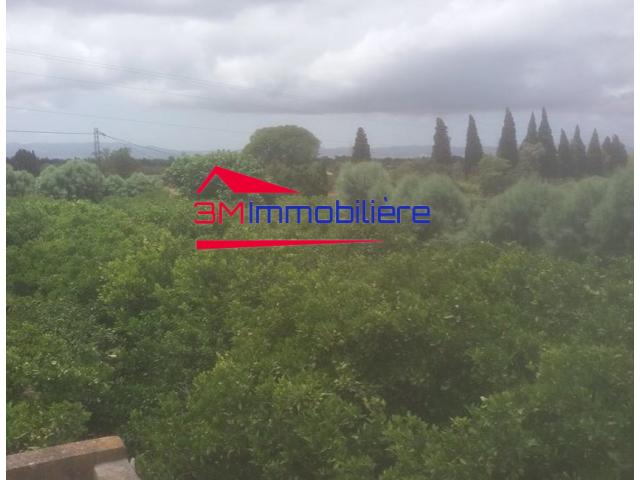 Photo Ferme Menzel Bouzelfa 124/17 image 4/6