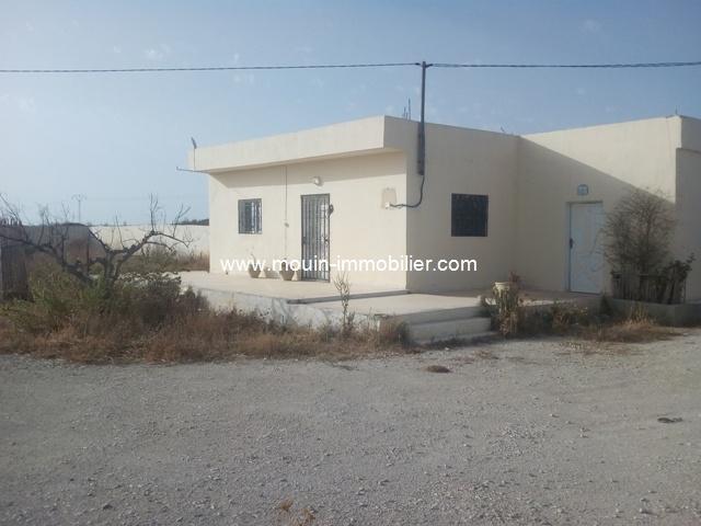 Photo Ferme Sidi Thabet T651 Ariana image 4/4