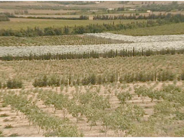Photo Ferme Tebourba ref T463 Manouba image 4/4