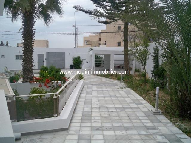 Photo flora hause AV763 saukra tunis image 4/6