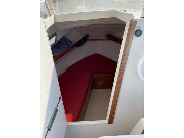 Photo GIB SEA 54 image 4/5
