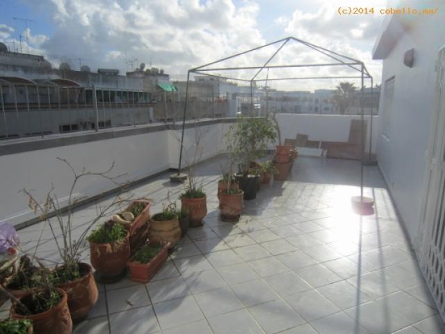Photo Grand appartement de lux en location à Rabat Agdal image 4/6