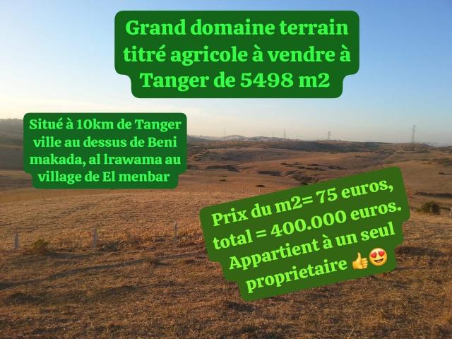 Photo Grand Terrain Titré et immatriculé à Tanger 5498 m2 à vendre image 4/6