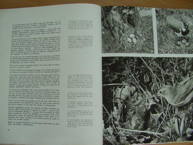 Photo HARMONIES UNIVERSELLES. image 4/5