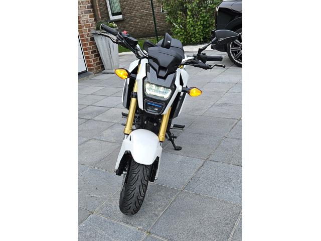 Photo HONDA MSX 125 image 4/6
