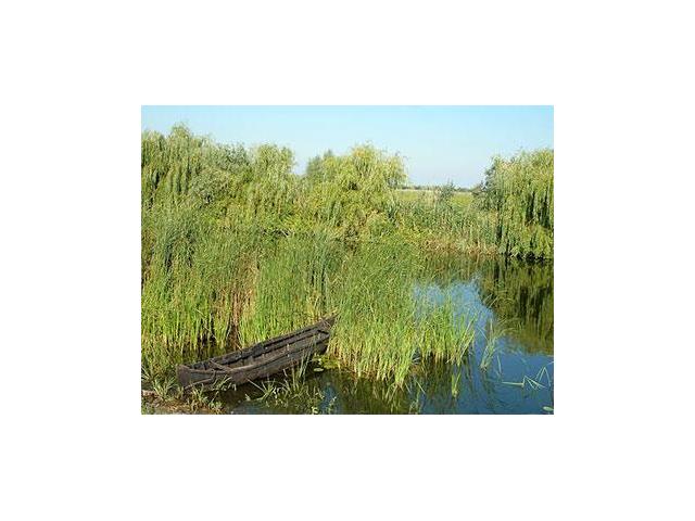 Photo Investment 736ha land for tourism, aquaculture and agriculture in the Danube Delta, Romania, Europe. image 4/6