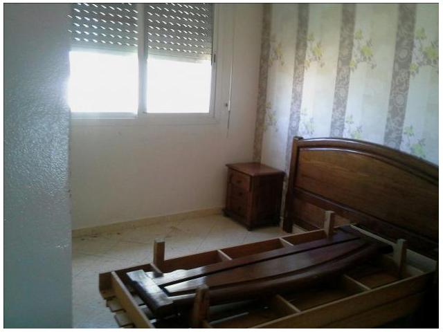 Photo JOLI APPARTEMENT à NASSIM image 4/6