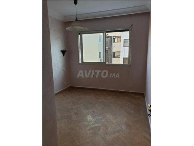 Photo joli appartement e location au racine image 4/6