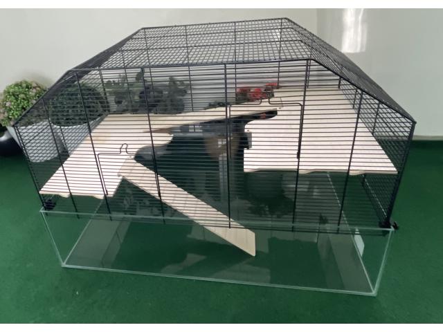 Photo Kit complet pour Hamster (Hamster russe/Utilitaires/Habitat) image 4/6