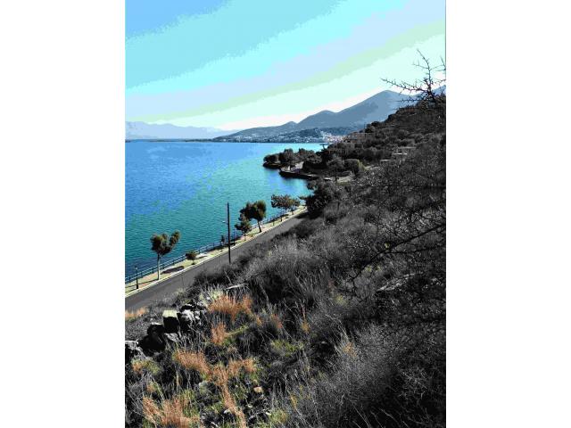 Photo LA MER A VOS PIEDS Terrain 6.100m2, Baie de ELOUNDA, Crète, Grèce image 4/6