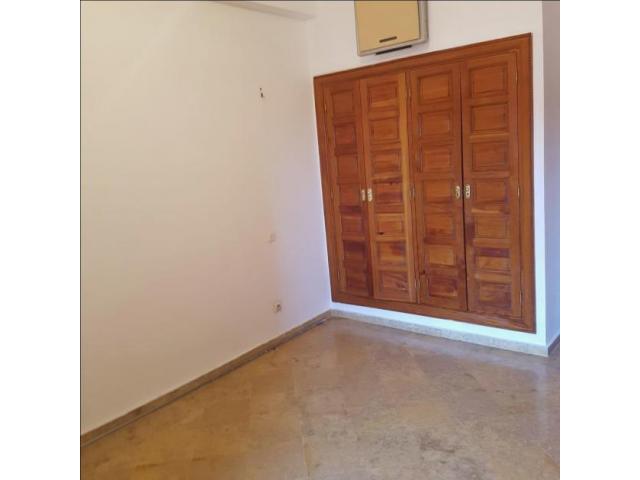 Photo location appart  3 chambres camp elghoul image 4/6