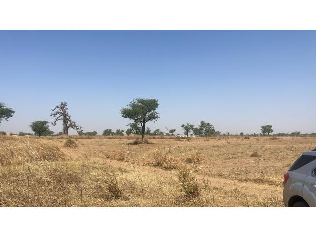 Photo loissement de 300m2  à Malicounda Sénégal image 4/4
