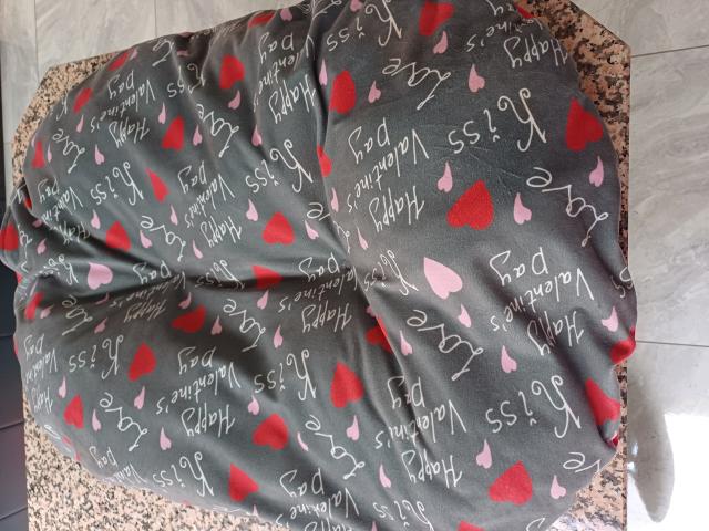 Photo Lot de coussin à vendre image 4/4