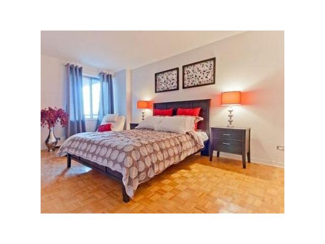 Photo Magnifiique appartement deux chambre et salon image 4/4
