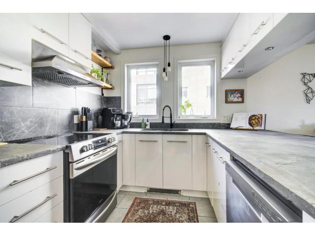 Photo Magnifique penthouse avec immense terrasse sur le toit PLATEAU (Montreal, Quebec) image 4/6