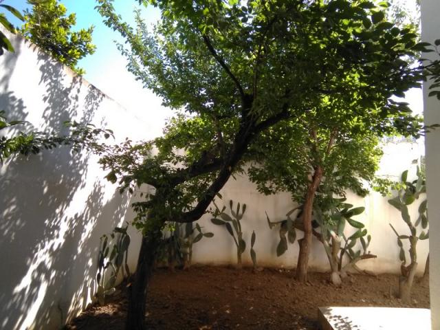 Photo MAISON S+3 AVEC JARDIN + APPARTEMENT S+3 A MREZGUA HAMMAMET image 4/6