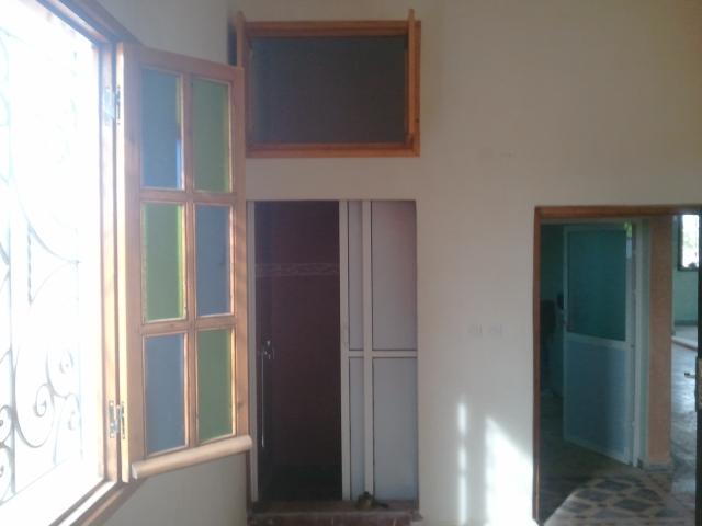 Photo maison sur terrain de 1 hectare image 4/6