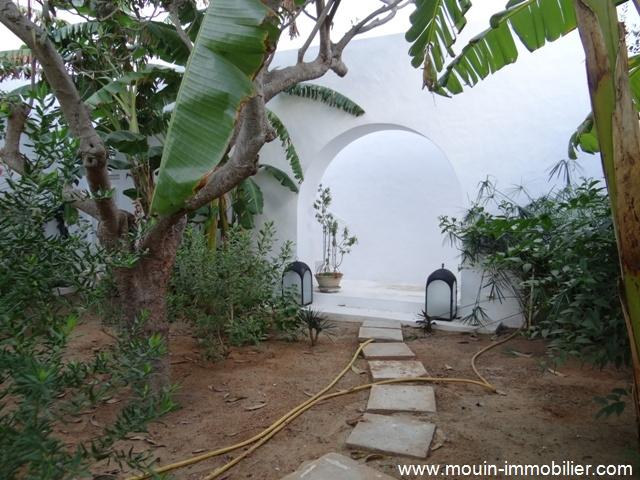 Photo Maison Traditionnelle AL246 Hammamet image 4/5