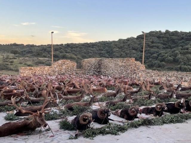 Photo MONTÉRIAS EN TERRITOIRES OUVERTS. image 4/6