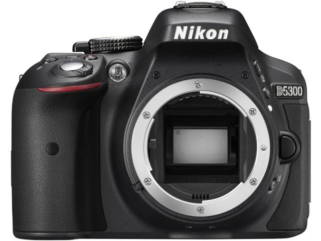 Photo Nikon D5300 + 18-105mm image 4/5