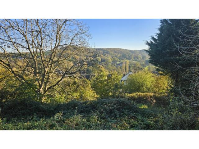 Photo NOUVEAUTÉ - TERRAIN À VENDRE de 22 ares | MALONNE (NAMUR) ????✨ image 4/6