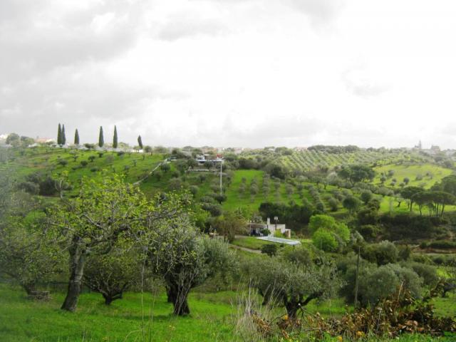 Photo Portugal image 4/6