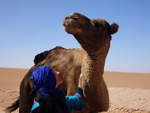 Photo Randonnée au désert du Maroc image 4/6