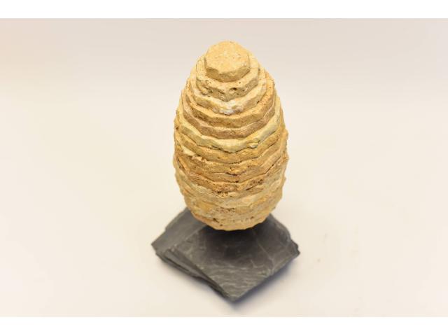 Photo Sculpture en Travertin Doré et Ardoise - Décoration Maison image 4/5