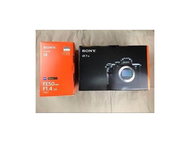 Photo SONY A7S II + 50MM F1.4 FE ZEISS image 4/4