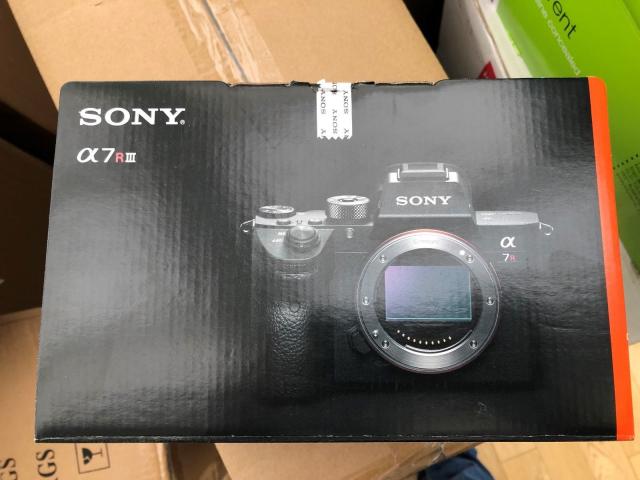 Photo Sony Alpha A7R III avec FE 24-70mm f / 2.8 SSM G image 4/5