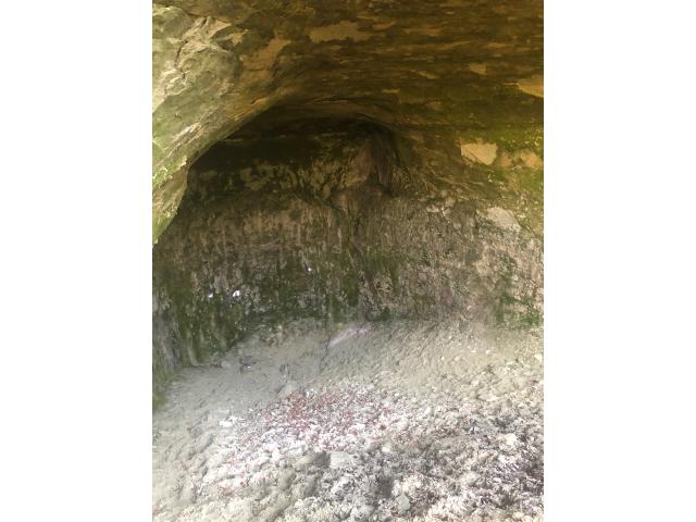 Photo Stage du 25 avril 2024 : Grotte de Mézières Vd image 4/6