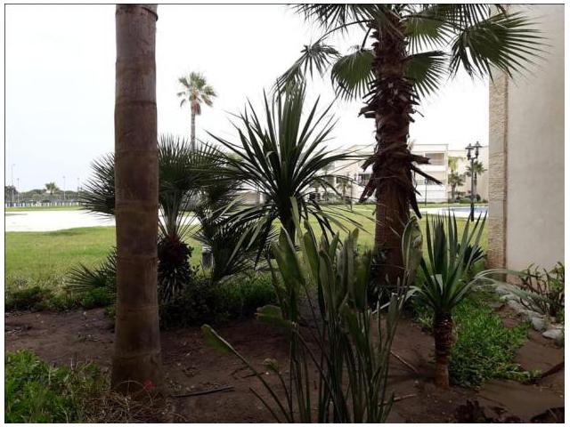 Photo Sublime appartement en vente Ola Blanca image 4/4