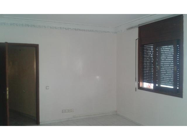 Photo Superbe Appartement vide à louer image 4/6