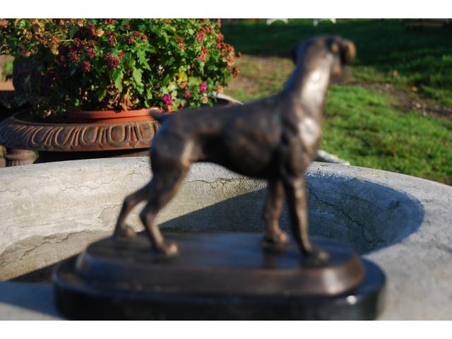 Photo SUPERBE BOXER EN BRONZE SUR SOCLE EN MARBRE. image 4/6