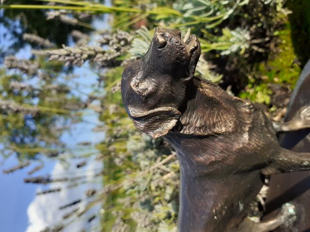 Photo SUPERBE LABRADOR EN BRONZE SUR SOCLE MARBRE. image 4/6