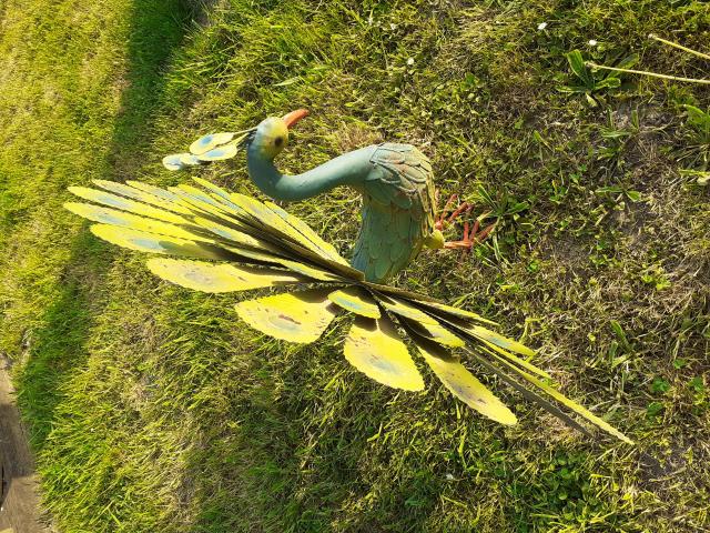 Photo SUPERBE PAON EN METAL PATINE image 4/6