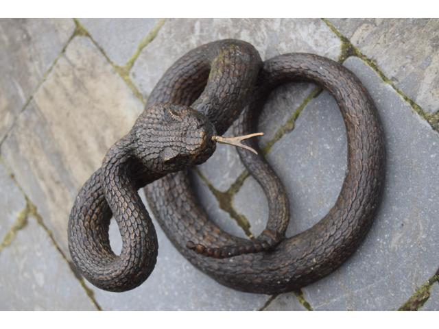 Photo SUPERBE SERPENT A SONNETTE EN BRONZE image 4/6