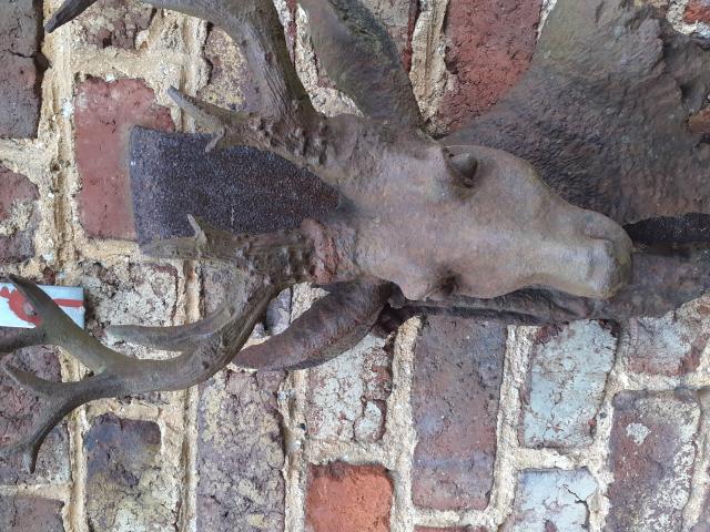 Photo SUPERBE TETE DE CERF EN FONTE A SUSPENDRE image 4/6