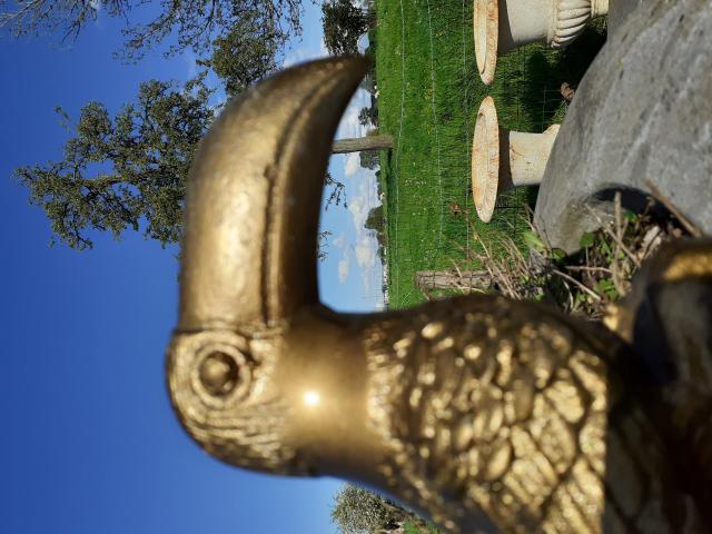 Photo SUPERBE TOUCAN EN FONTE D'ALUMINIUM image 4/6