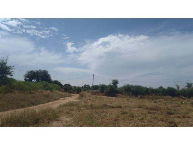 Photo Terrain 1 hectare a Nguerigne Mbambara image 4/6