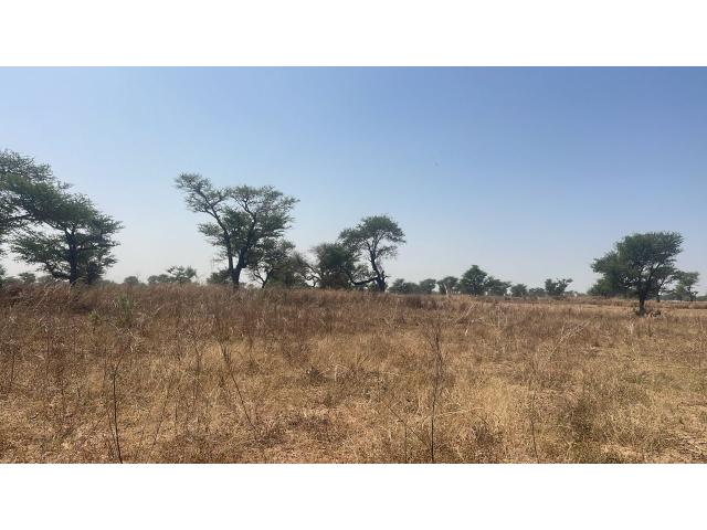Photo Terrain 300 mètres carrés à vendre à Malicounda Sénégal image 4/4