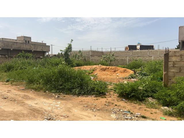 Photo Terrain 300 mètres carrés à vendre à Saly Sénégal image 4/4