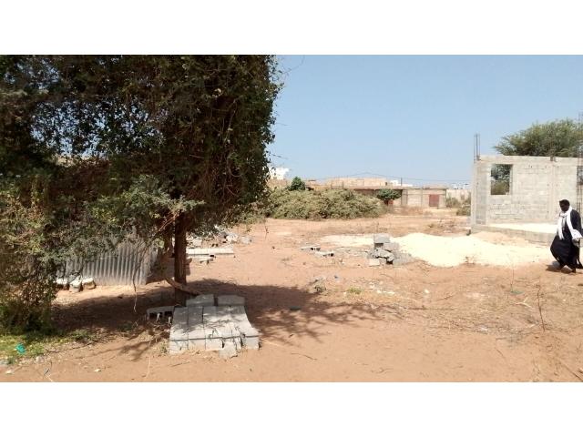 Photo Terrain 600 mètres carrés à vendre à Malicounda Sénégal image 4/4