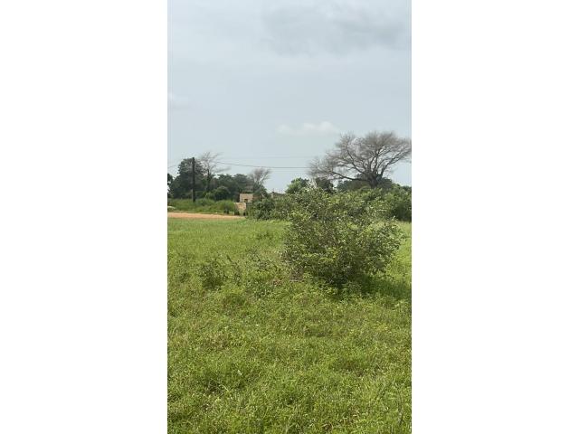 Photo Terrain 600m2 keur masseib image 4/4