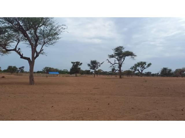 Photo Terrain agricole de 1 hectare à vendre à Malicounda Takhoum image 4/4