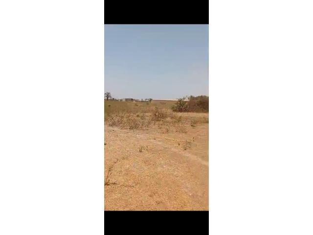 Photo Terrain agricole de 2 hectares à vendre à Sandiara Sénégal image 4/4
